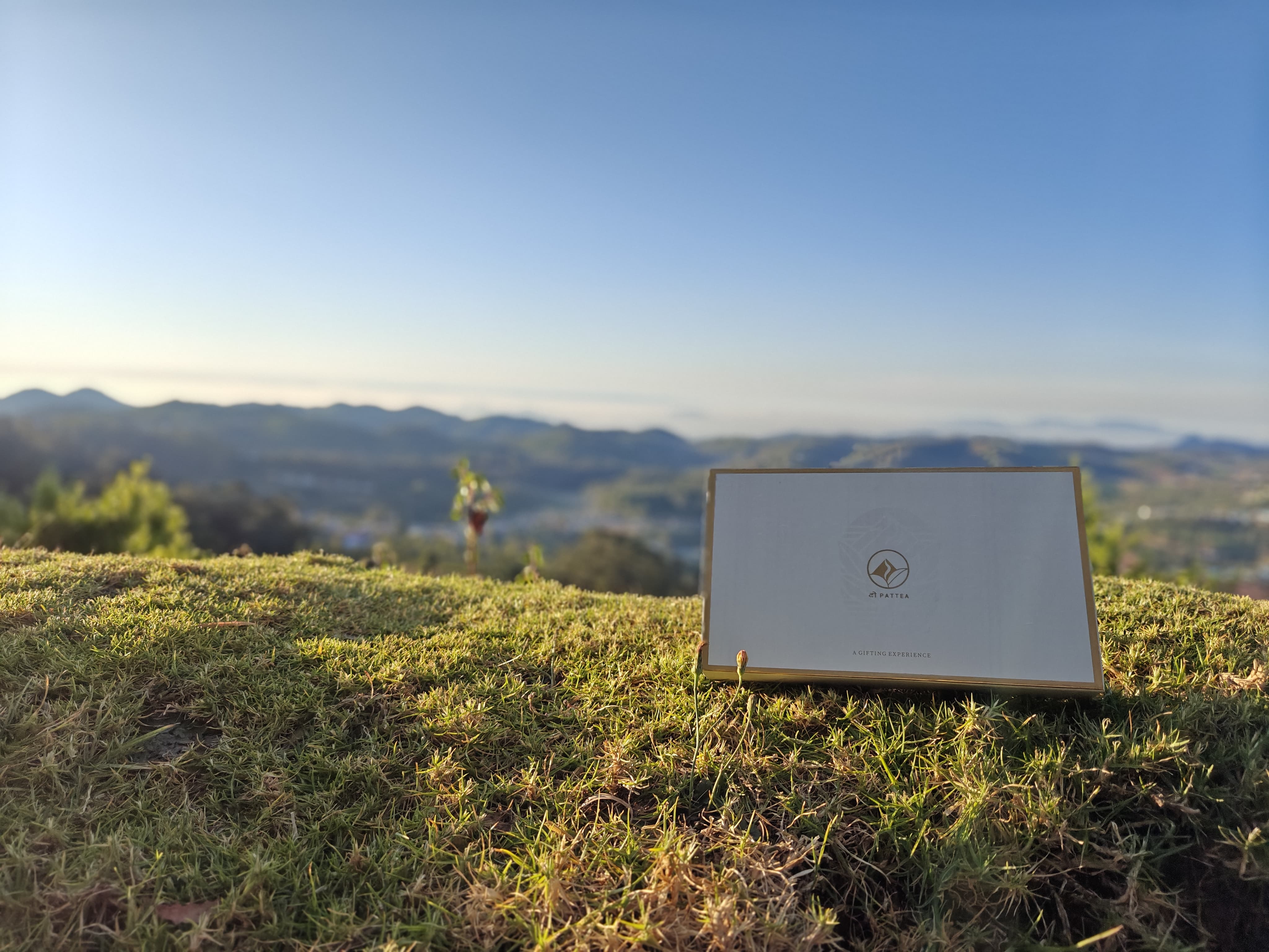 Product view